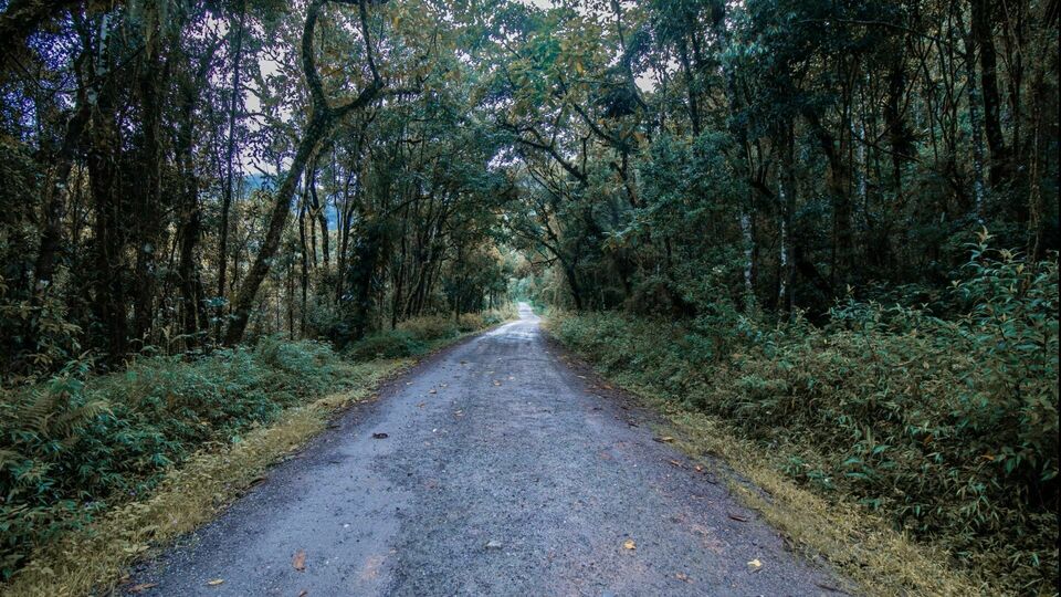 Coleção Itamonte — A Essência da Mantiqueira em Edição Limitada