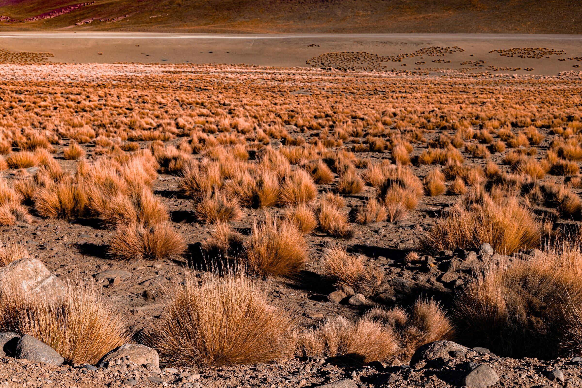 Foto de Eduardo Mauri Matos 4