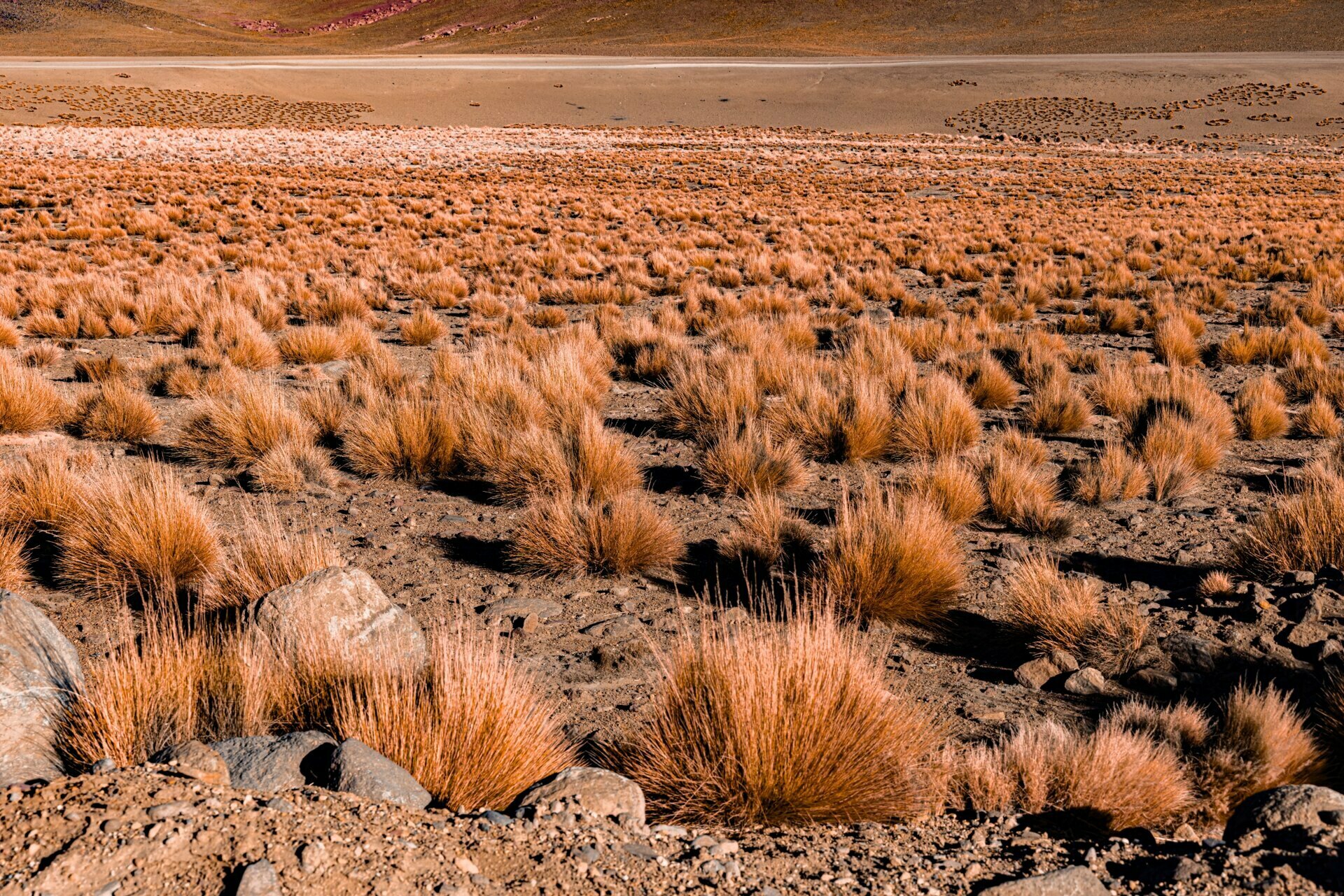 Paisagens que contam histórias: como transformar viagens em narrativas visuais