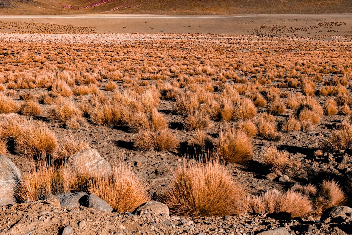 Paisagens que contam histórias: como transformar viagens em narrativas visuais