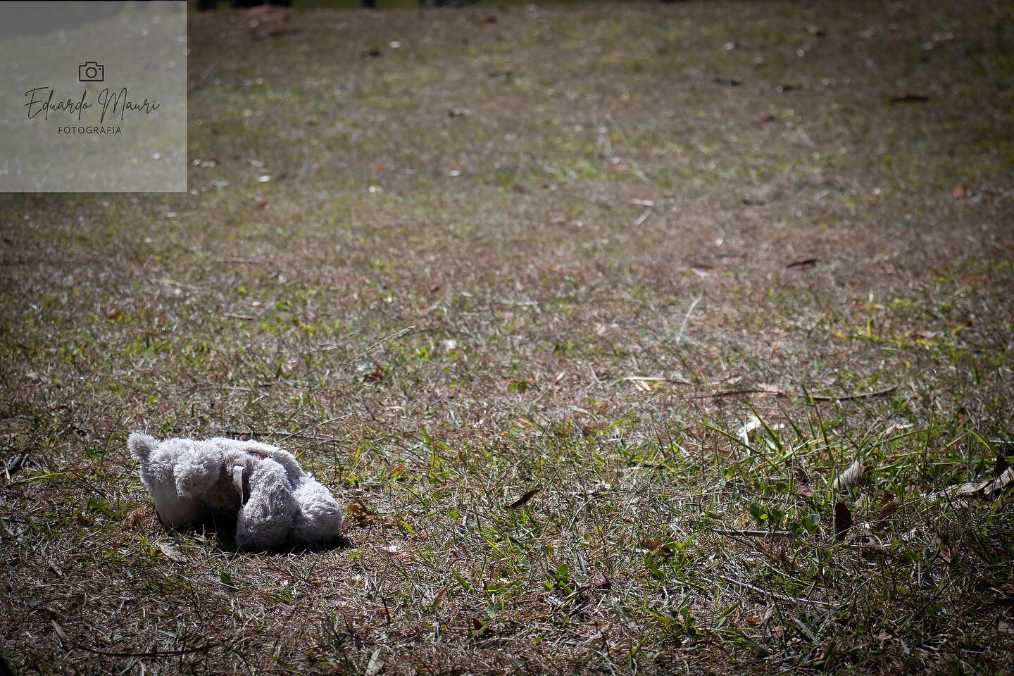 Foto Composição Fotográfica: 5 Técnicas Simples para Transformar Suas Imagens - Imagem 5