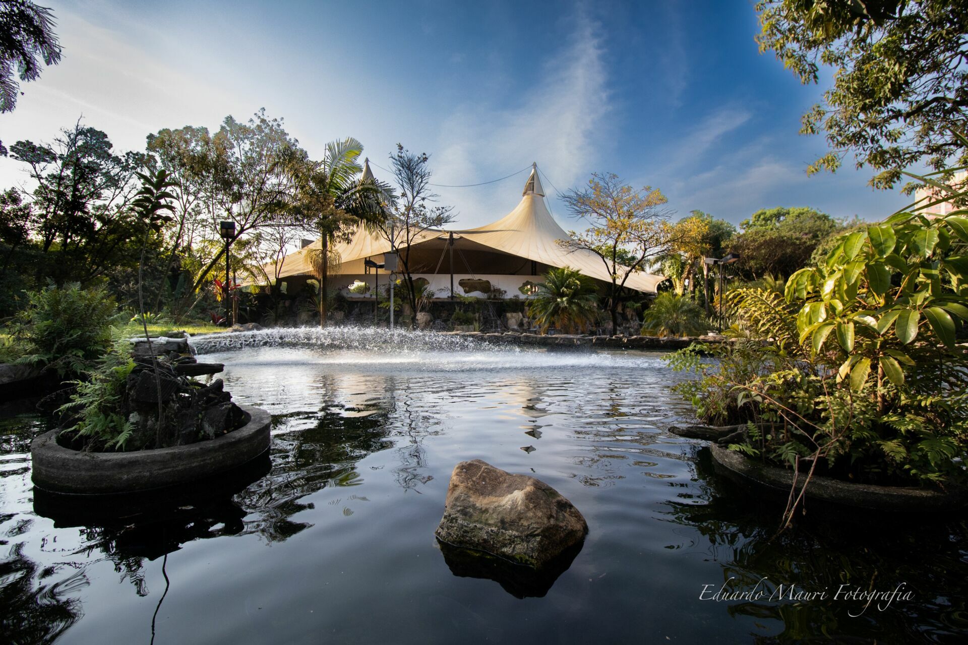 Foto Domine a Luz: Guia Prático de Iluminação Natural - Imagem 0