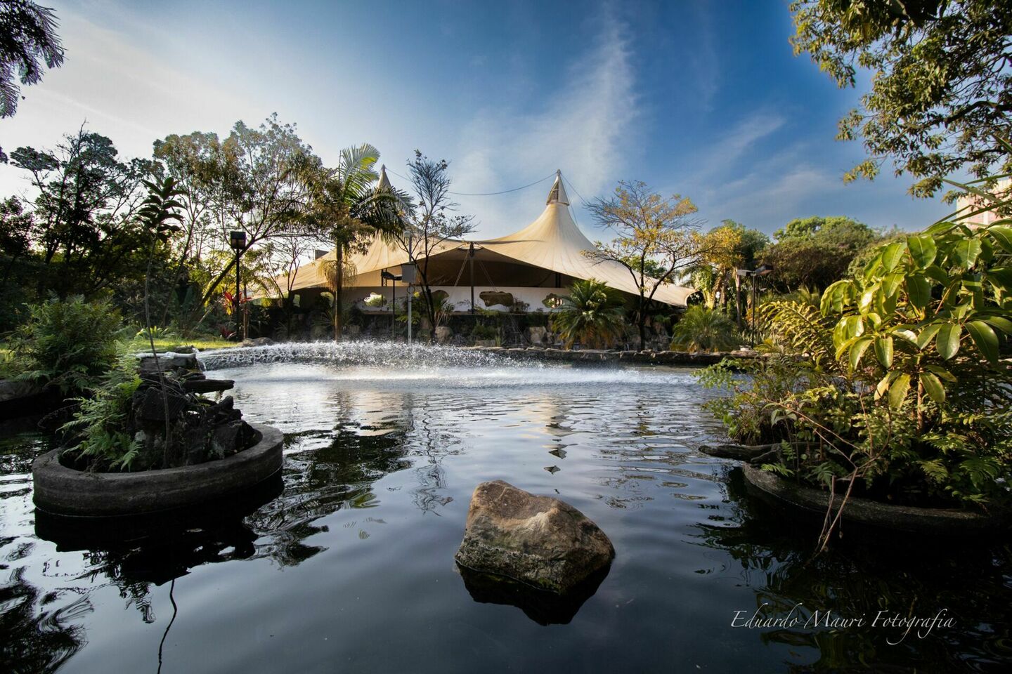 Domine a Luz: Guia Prático de Iluminação Natural