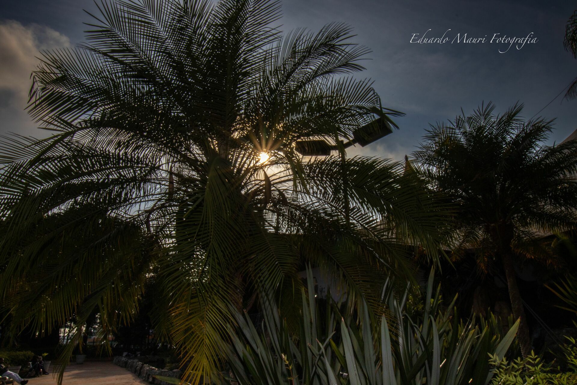 Foto Domine a Luz: Guia Prático de Iluminação Natural - Imagem 2