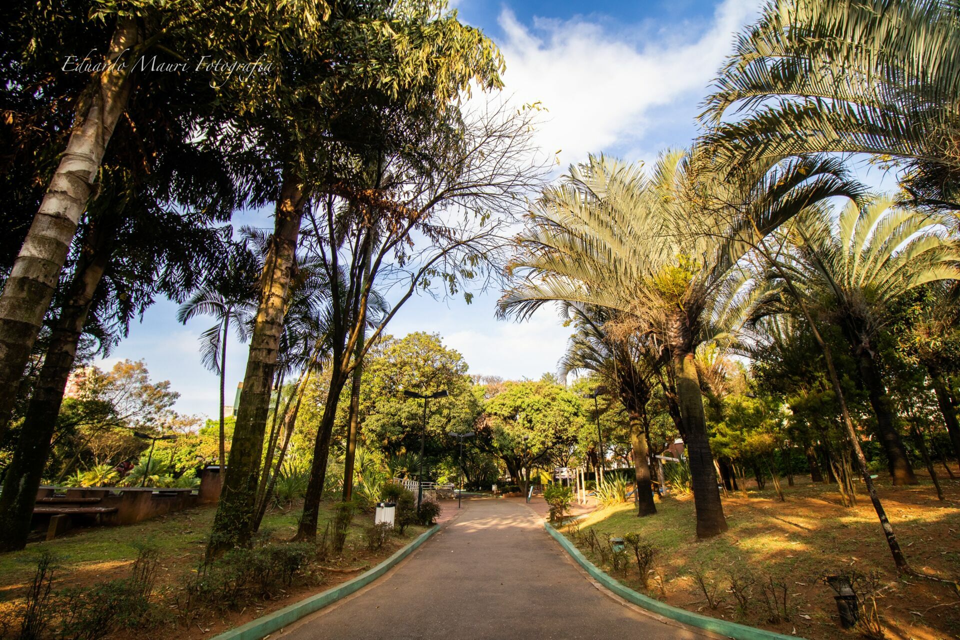 Foto Domine a Luz: Guia Prático de Iluminação Natural - Imagem 3