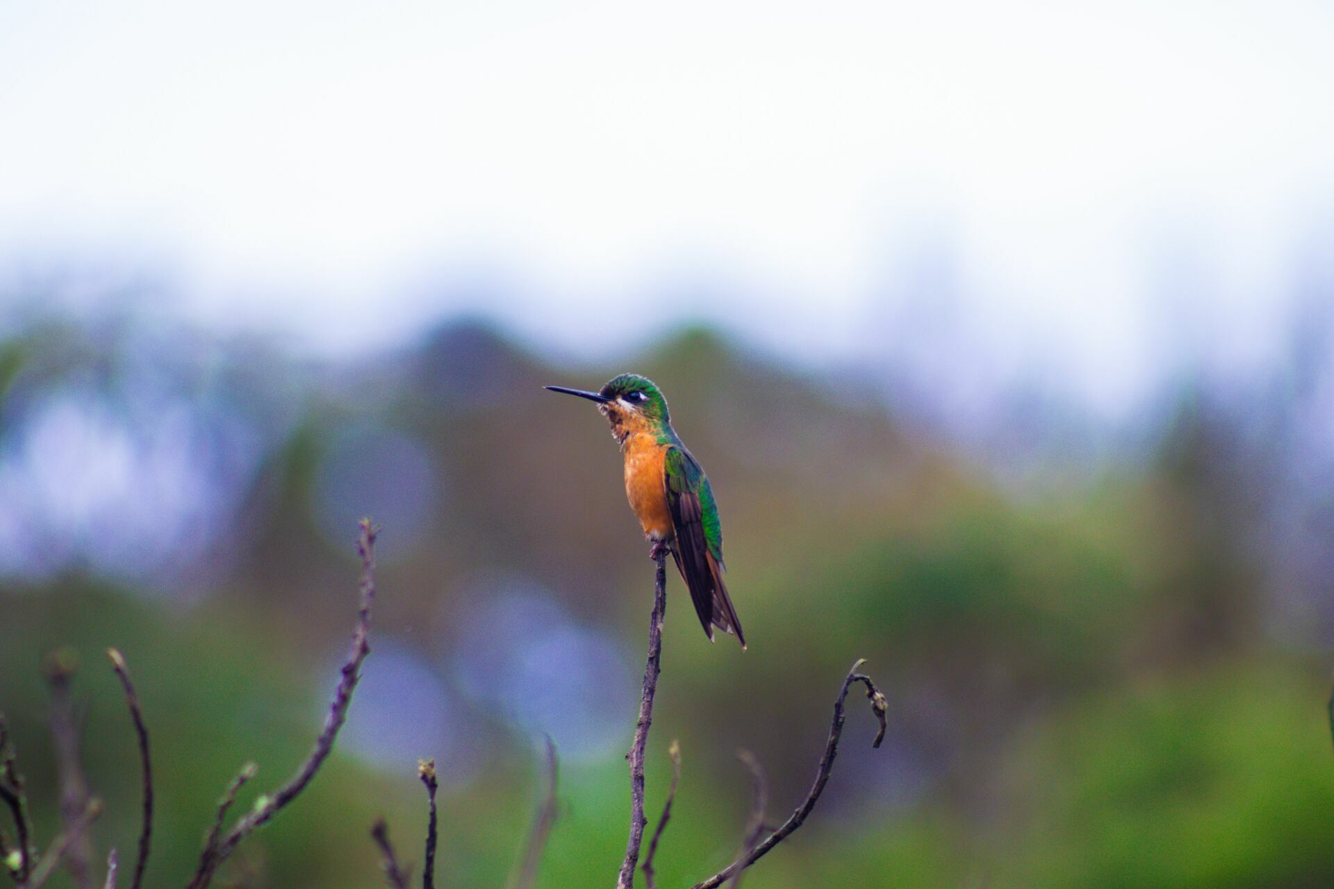 Foto Exposição Criativa: Quando Quebrar a Regra - Imagem 2