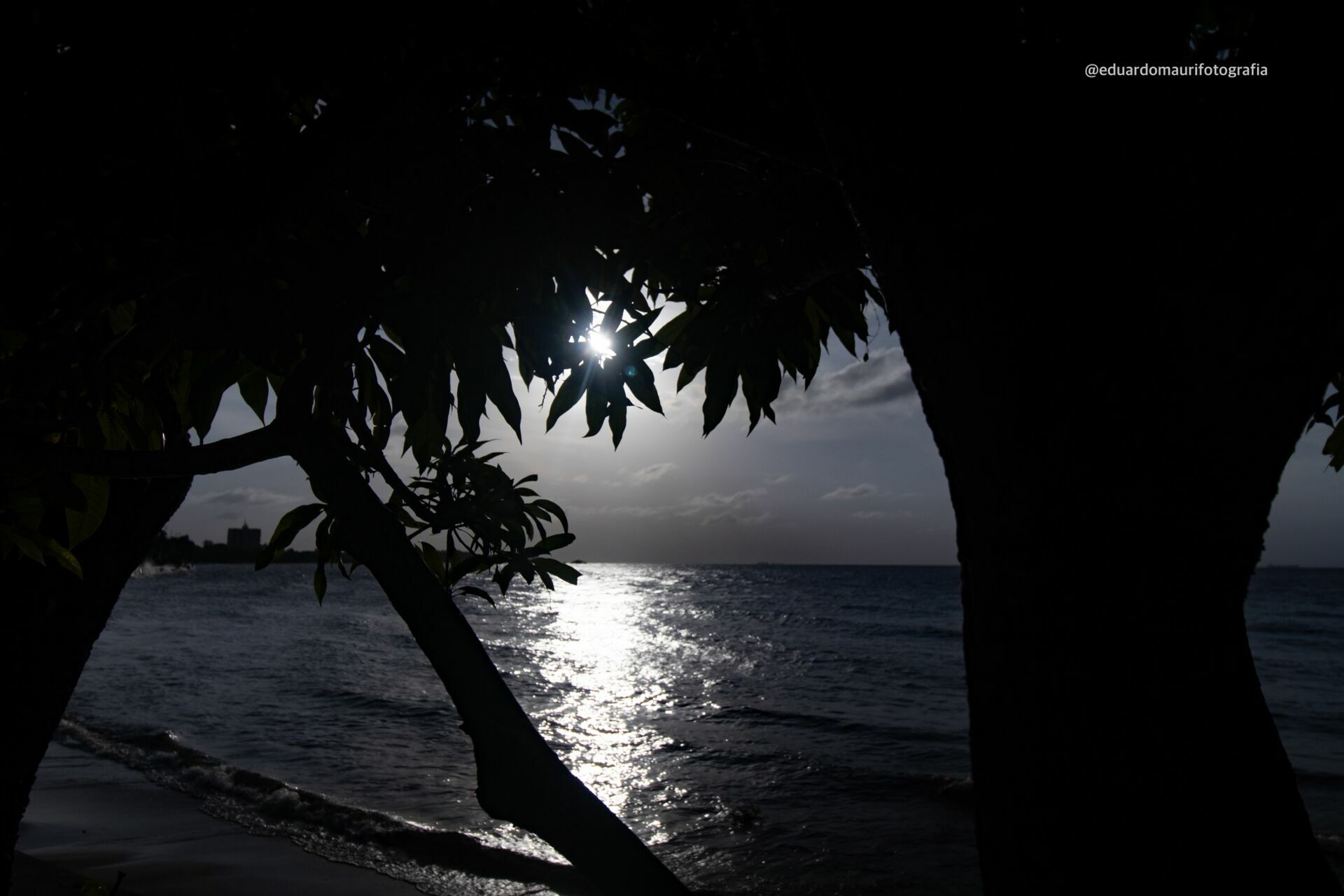 Foto O Olhar que Transforma a Fotografia - Imagem 0