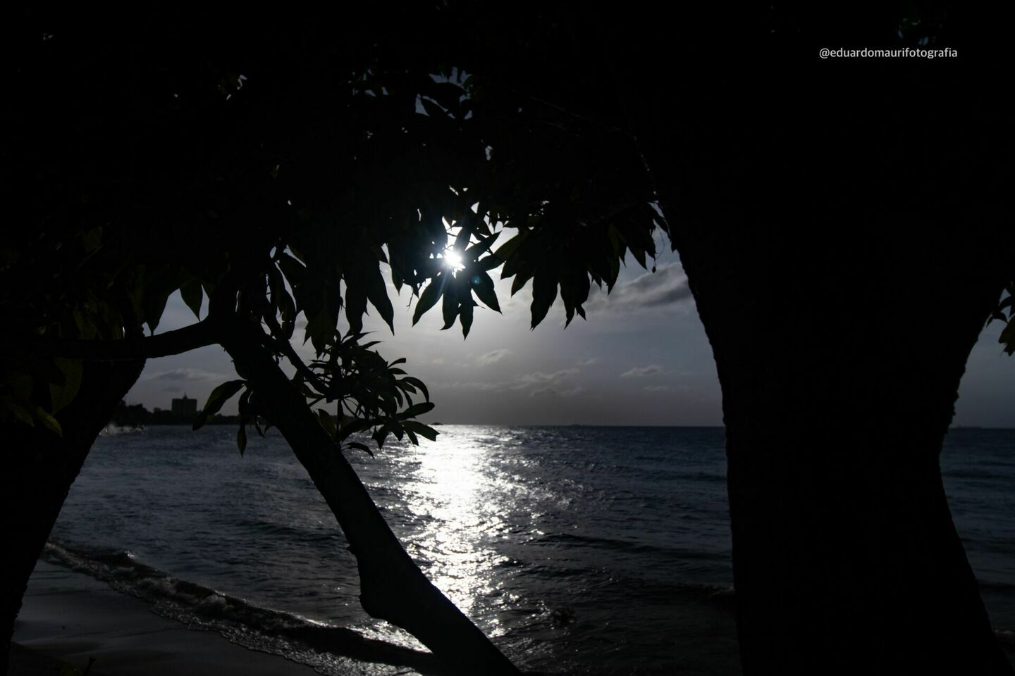 O Olhar que Transforma a Fotografia