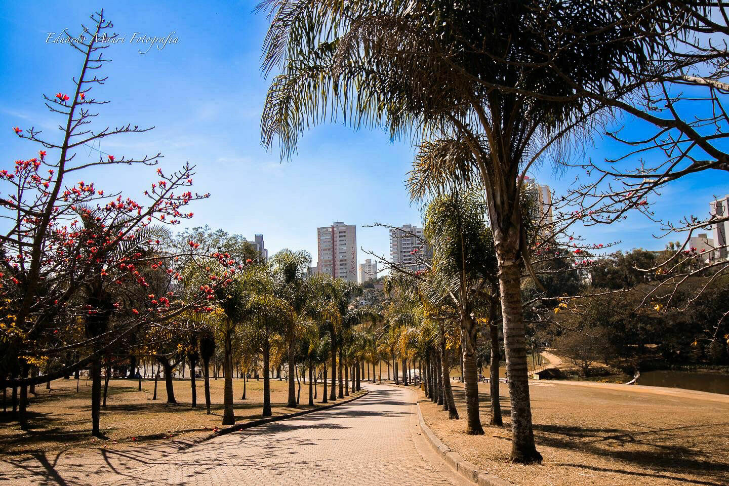 Composição Fotográfica na Prática — O Equilíbrio Entre Técnica e Intenção