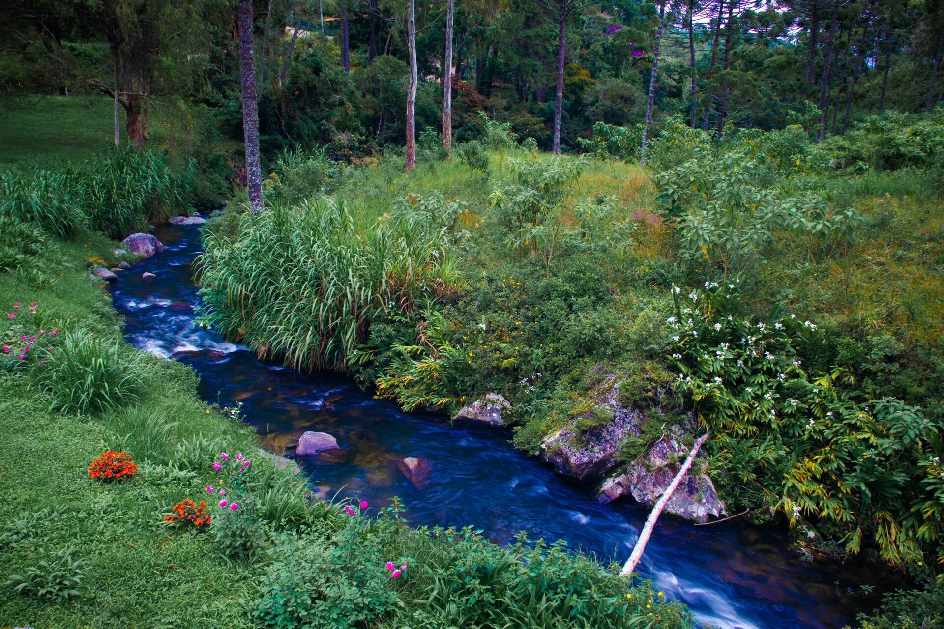 Guia ND: quando e como usar na fotografia
