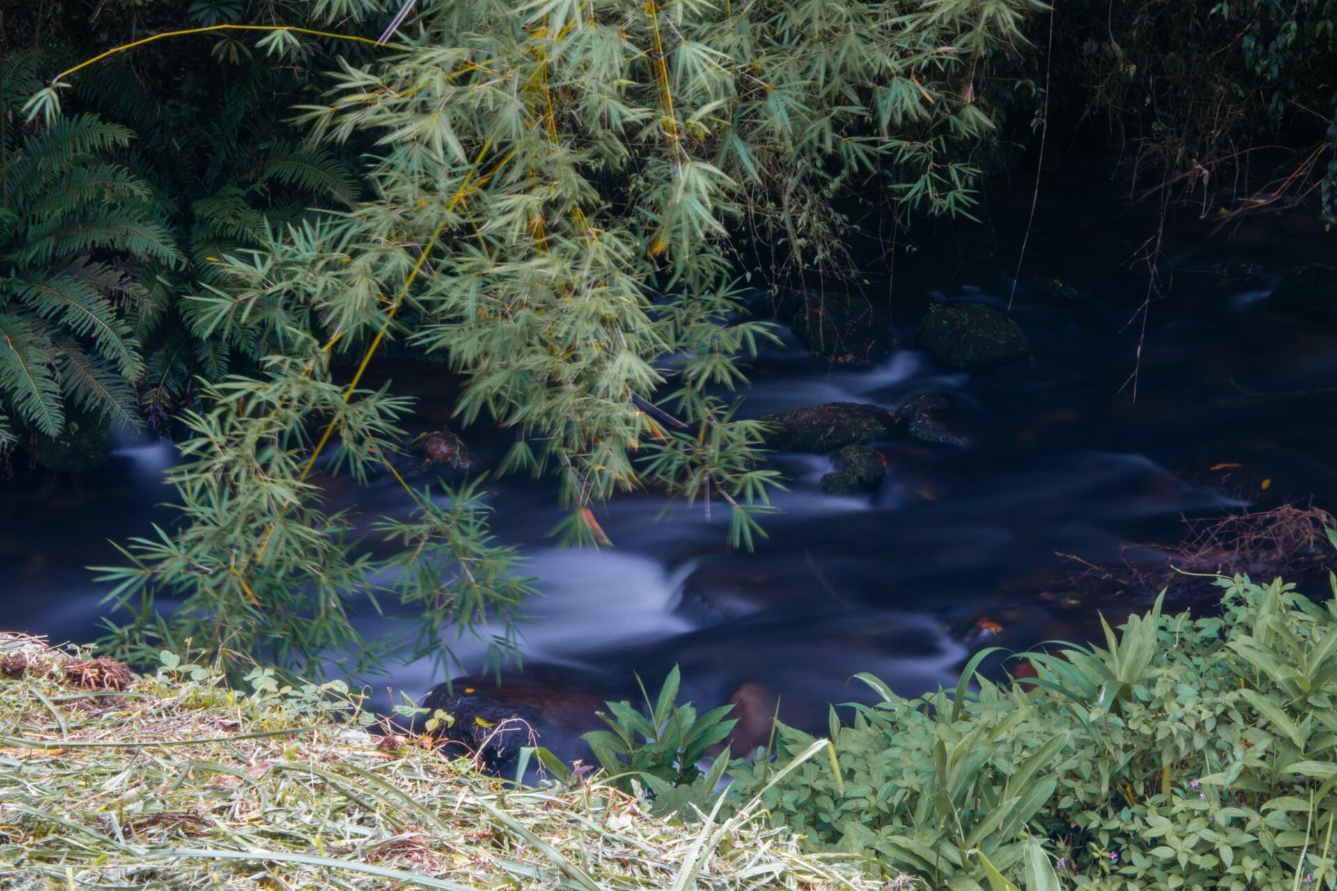 Foto Guia ND: quando e como usar - Imagem 1