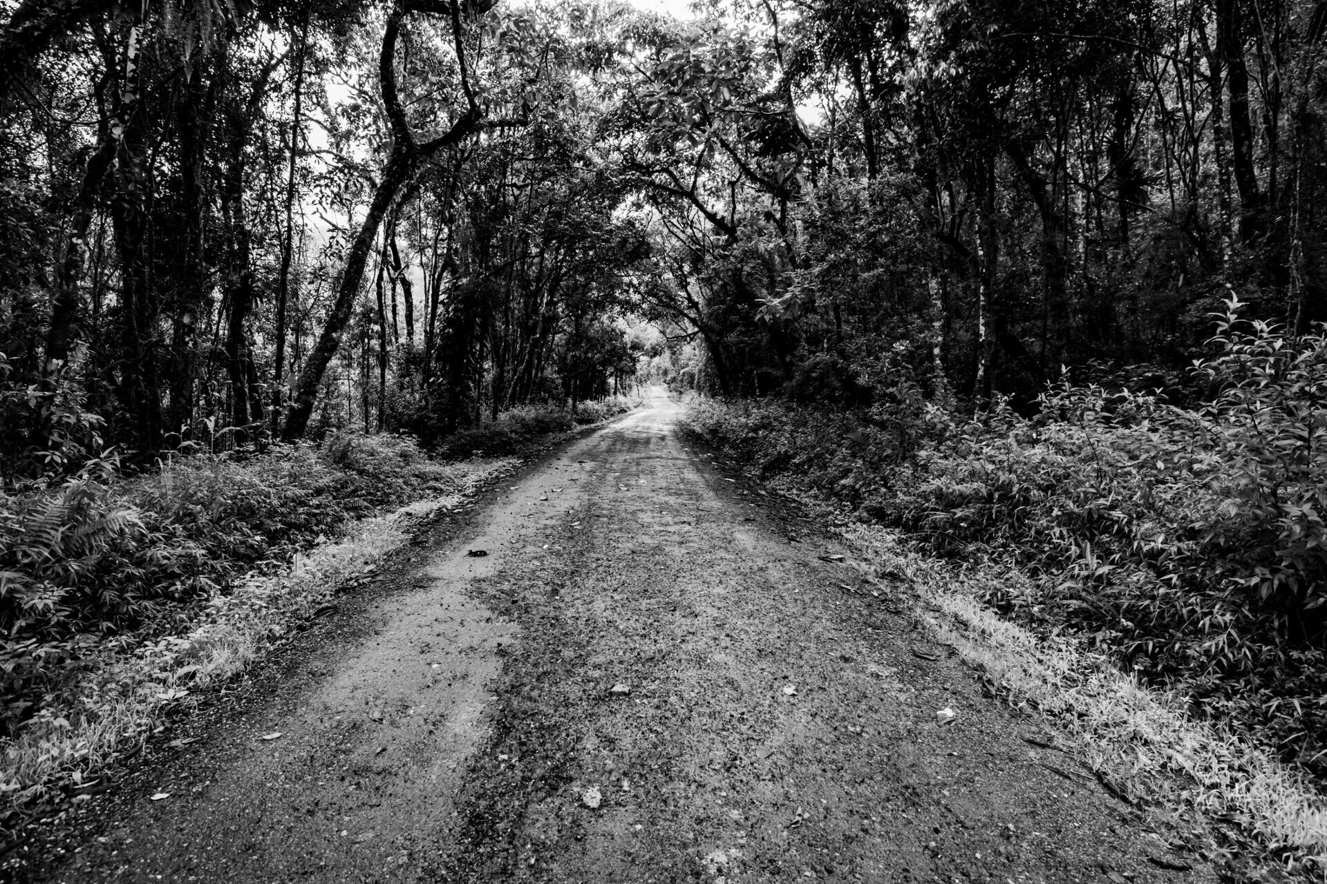 Foto Por que tanta gente trava no modo manual mesmo depois de ver vídeos no YouTube - Imagem 2