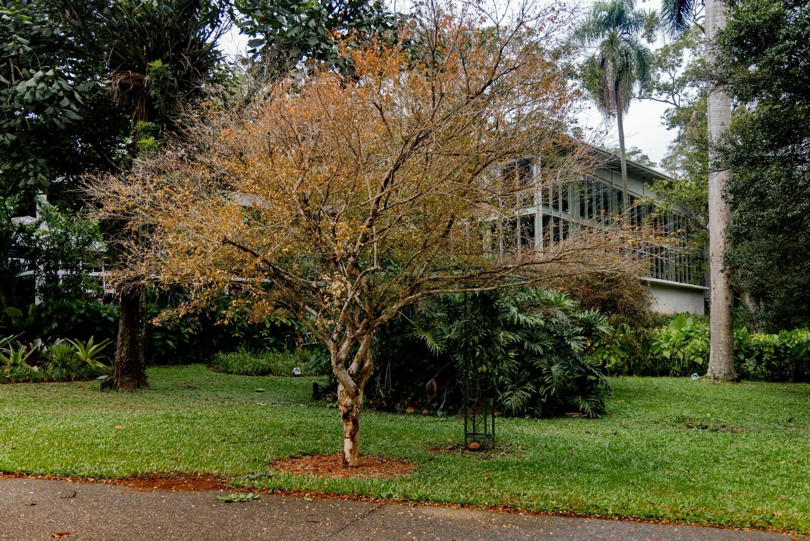 Foto Por que suas fotos não ficam como você imagina? - Imagem 1