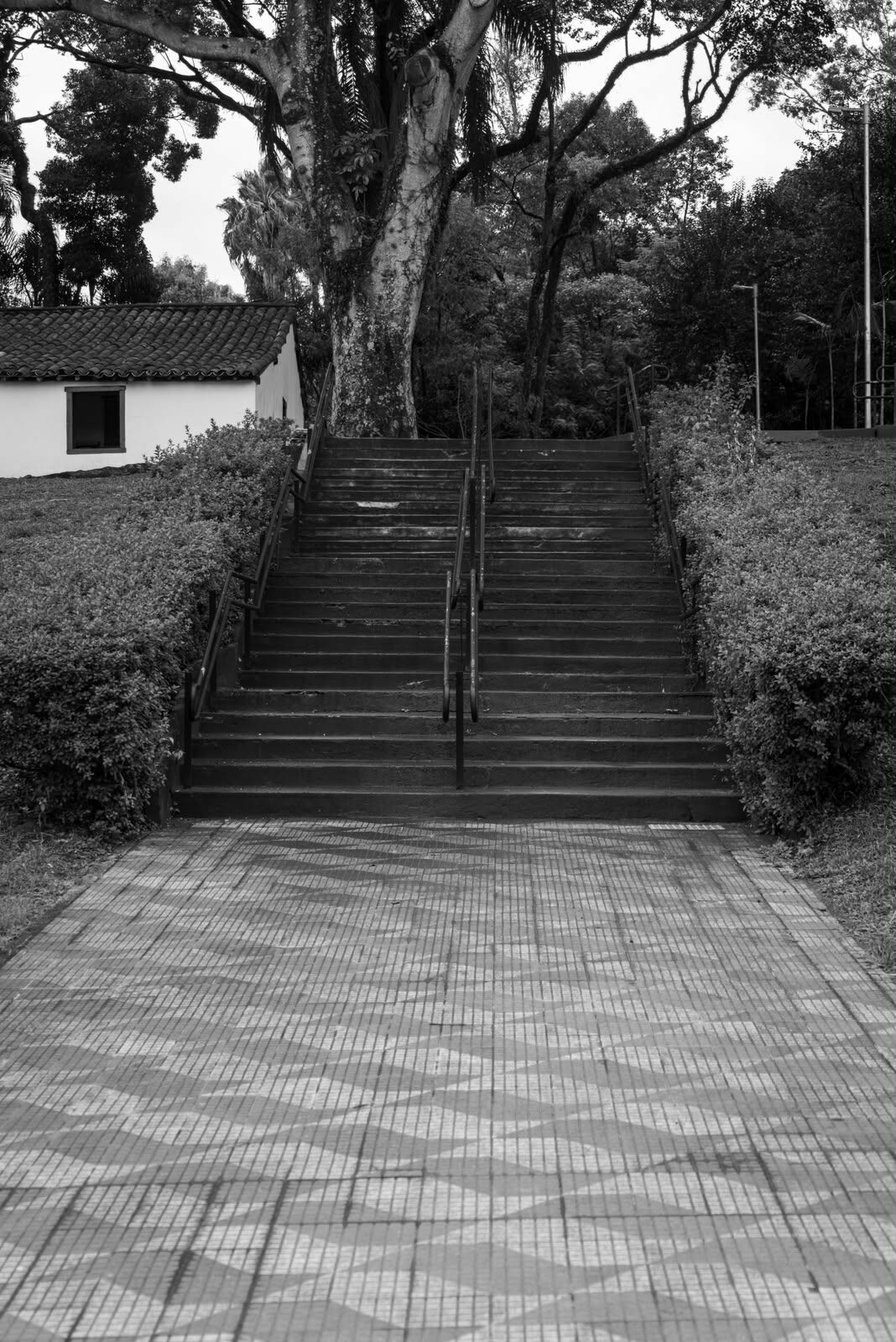 Foto Como escolher boas fotos para um post ou reels - Imagem 2