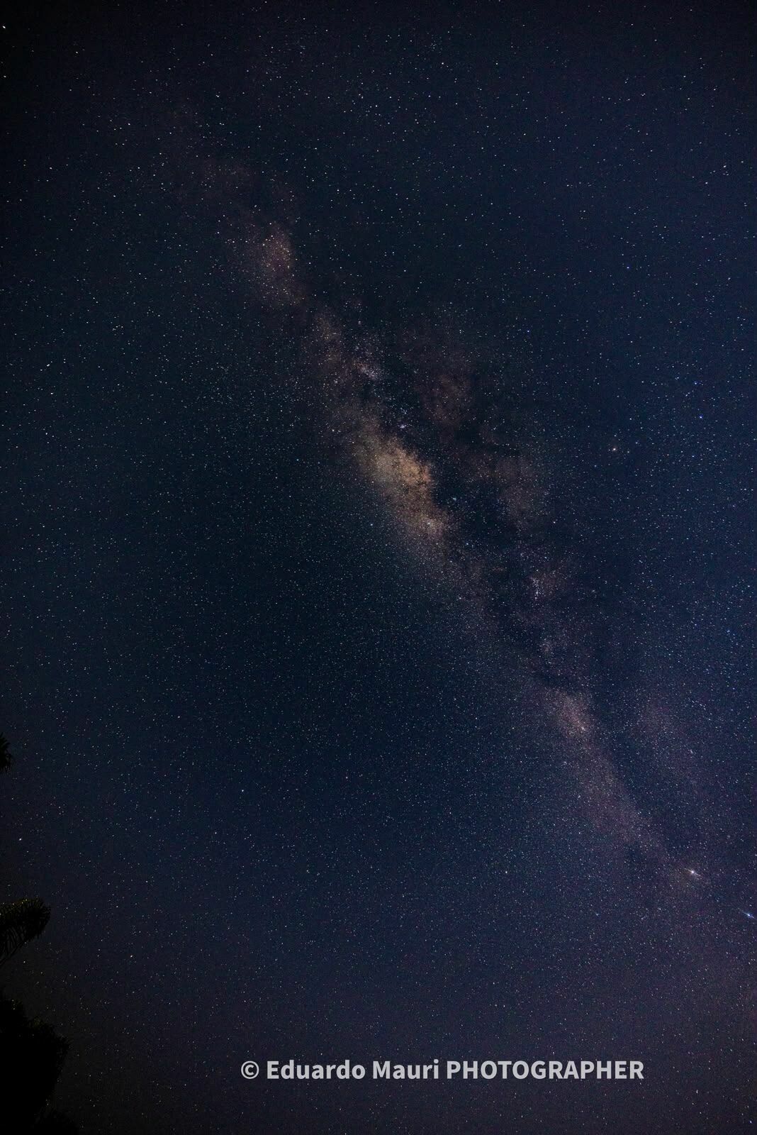 Foto Como escolher boas fotos para um post ou reels - Imagem 4