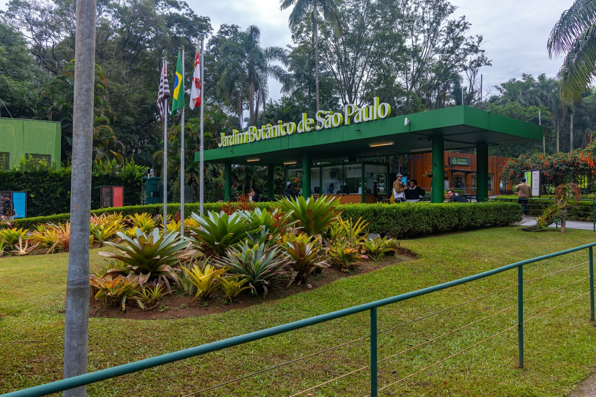Jardim Botânico de São Paulo: quando a cidade baixa o volume e a fotografia começa a escutar
