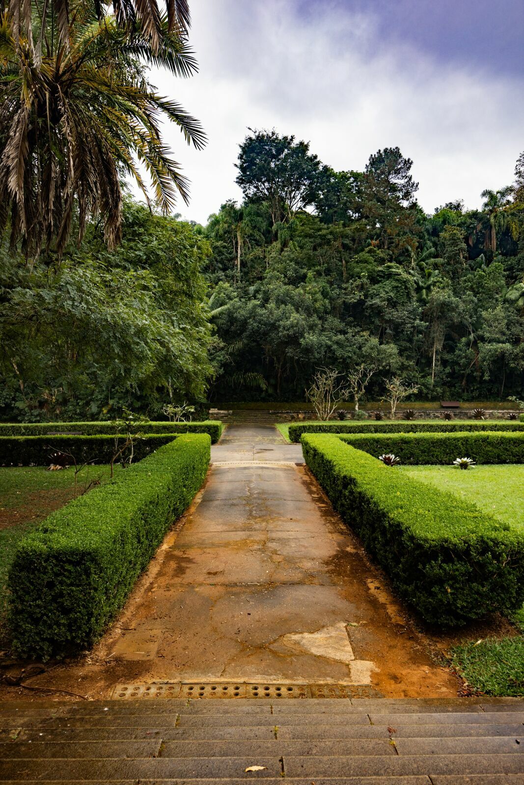 Foto Jardim Botânico de São Paulo: quando a cidade baixa o volume e a fotografia começa a escutar Foto Jardim Botânico de São Paulo: quando a cidade baixa o volume e a fotografia começa a escutar - Imagem 5